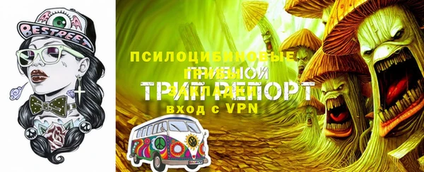 хмурый Ладушкин