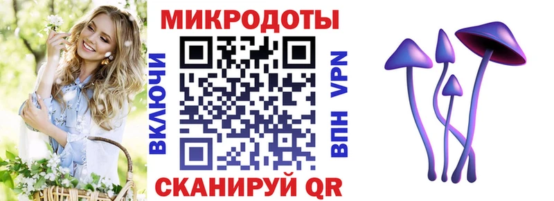 Псилоцибиновые грибы Cubensis  Нязепетровск 